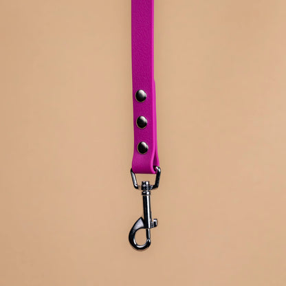 Zoom sur l'attache de la laisse simple pour chien en sangle enduite matière similaire au biothane violet lilas