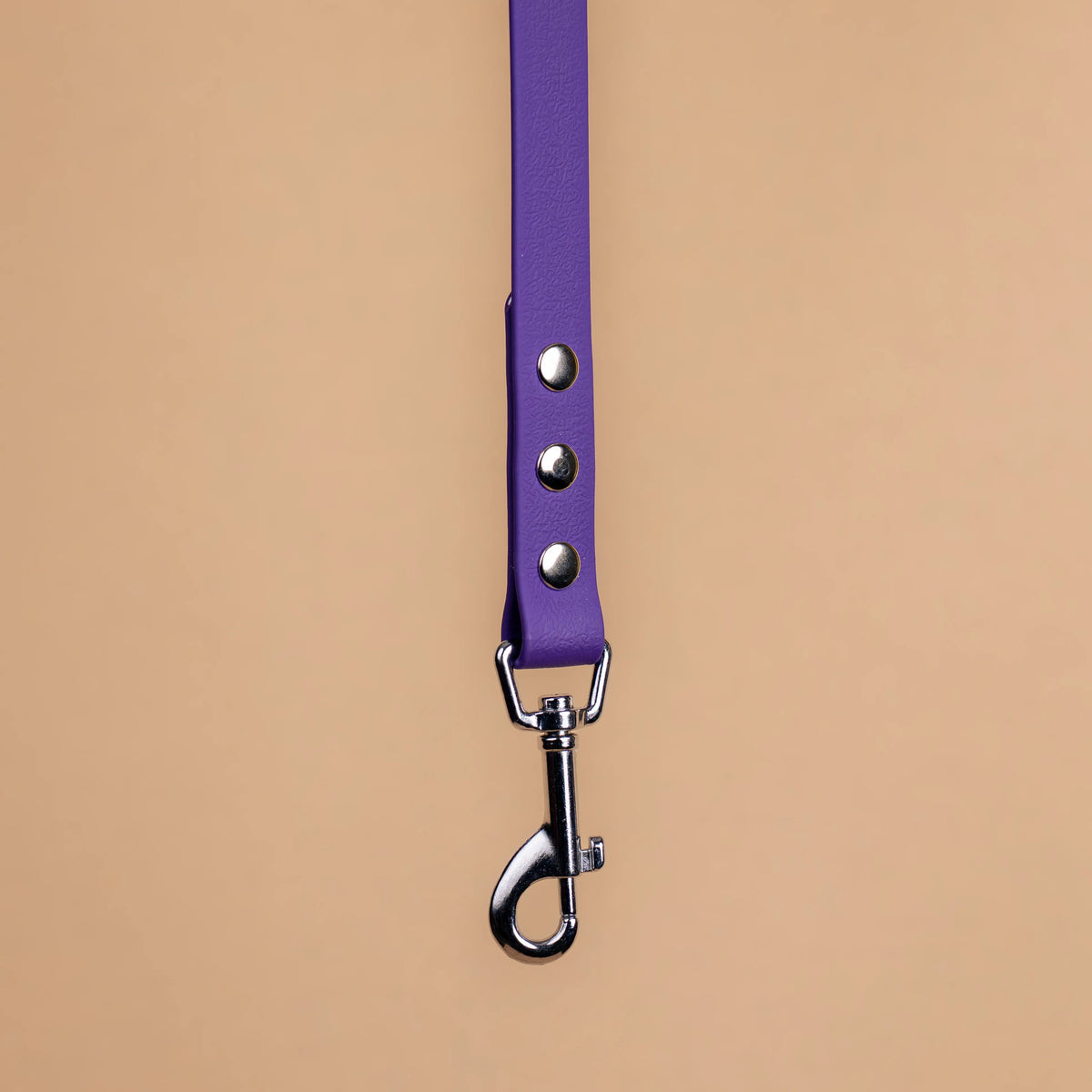 Zoom sur l'attache de la laisse simple pour chien en sangle enduite matière similaire au biothane violet pourpre