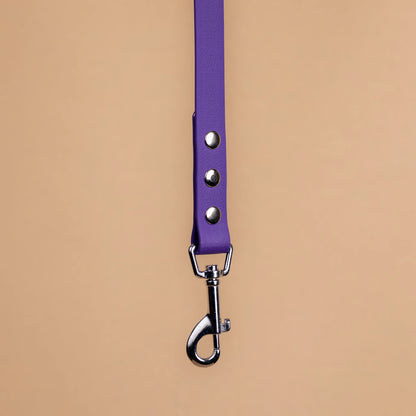 Zoom sur l'attache de la laisse simple pour chien en sangle enduite matière similaire au biothane violet pourpre