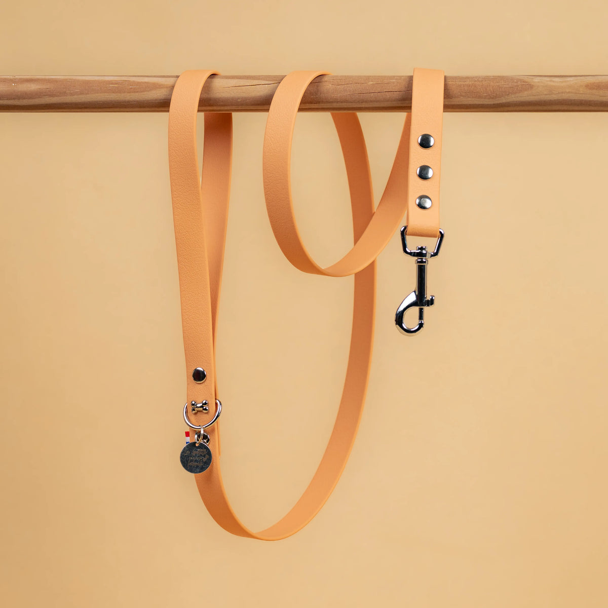 laisse simple pour chien en sangle enduite étanche matière similaire au biothane couleur beige
