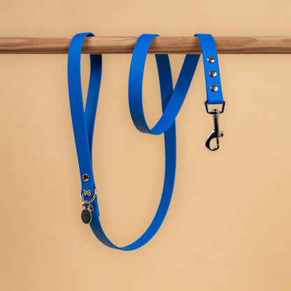 laisse simple pour chien en sangle enduite étanche matière similaire au biothane couleur bleu