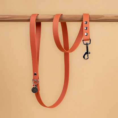 laisse simple pour chien en sangle enduite étanche matière similaire au biothane couleur orange terracotta