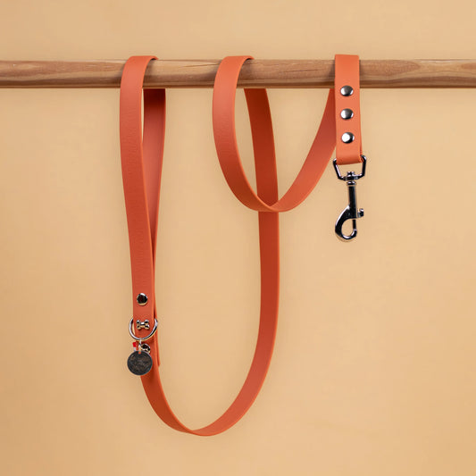 laisse simple pour chien en sangle enduite étanche matière similaire au biothane couleur orange terracotta
