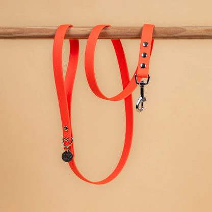  laisse simple pour chien en sangle enduite étanche matière similaire au biothane couleur orange