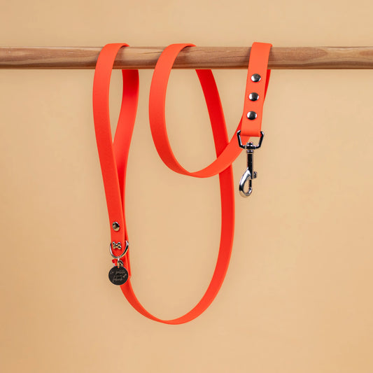  laisse simple pour chien en sangle enduite étanche matière similaire au biothane couleur orange