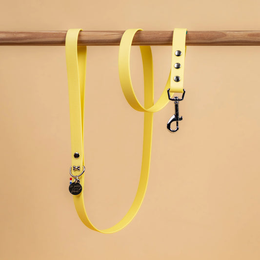 laisse simple pour chien en sangle enduite étanche matière similaire au biothane couleur jaune pastel
