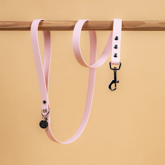 laisse simple pour chien en sangle enduite étanche matière similaire au biothane couleur rose pastel