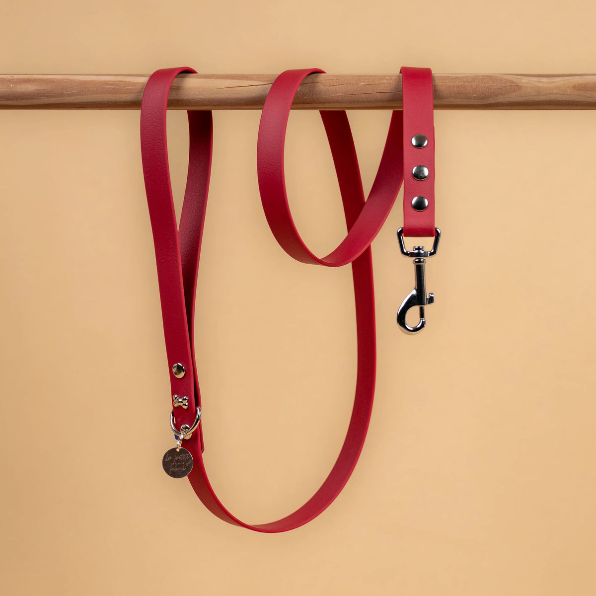laisse simple pour chien en sangle enduite étanche matière similaire au biothane couleur lie de vin 