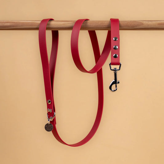 laisse simple pour chien en sangle enduite étanche matière similaire au biothane couleur lie de vin 