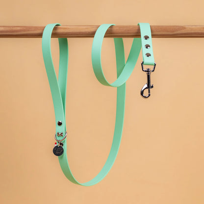 laisse simple pour chien en sangle enduite étanche matière similaire au biothane couleur vert caraïbe