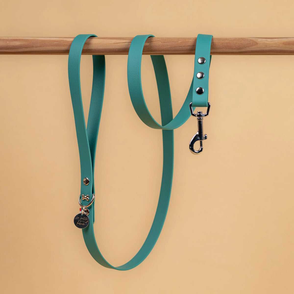 laisse simple pour chien en sangle enduite étanche matière similaire au biothane couleur vert chasseur 