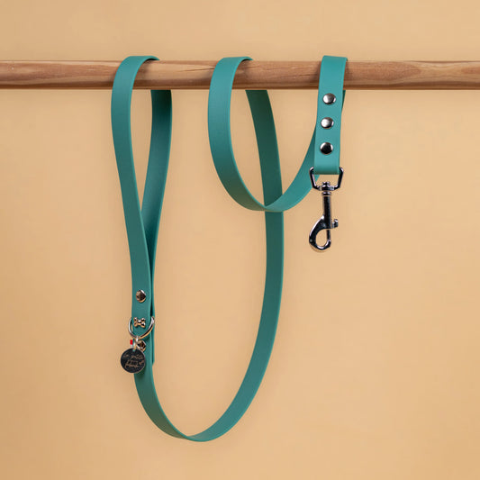 laisse simple pour chien en sangle enduite étanche matière similaire au biothane couleur vert chasseur 