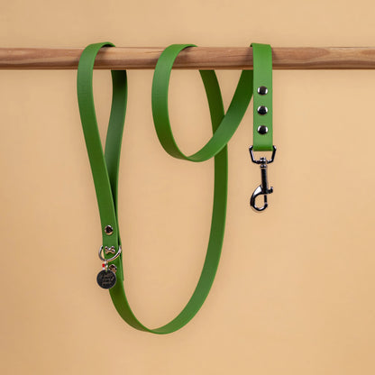 laisse simple pour chien en sangle enduite étanche matière similaire au biothane couleur vert olive
