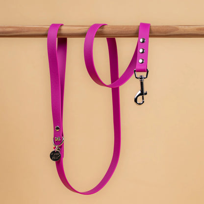 laisse simple pour chien en sangle enduite étanche matière similaire au biothane couleur violet lilas