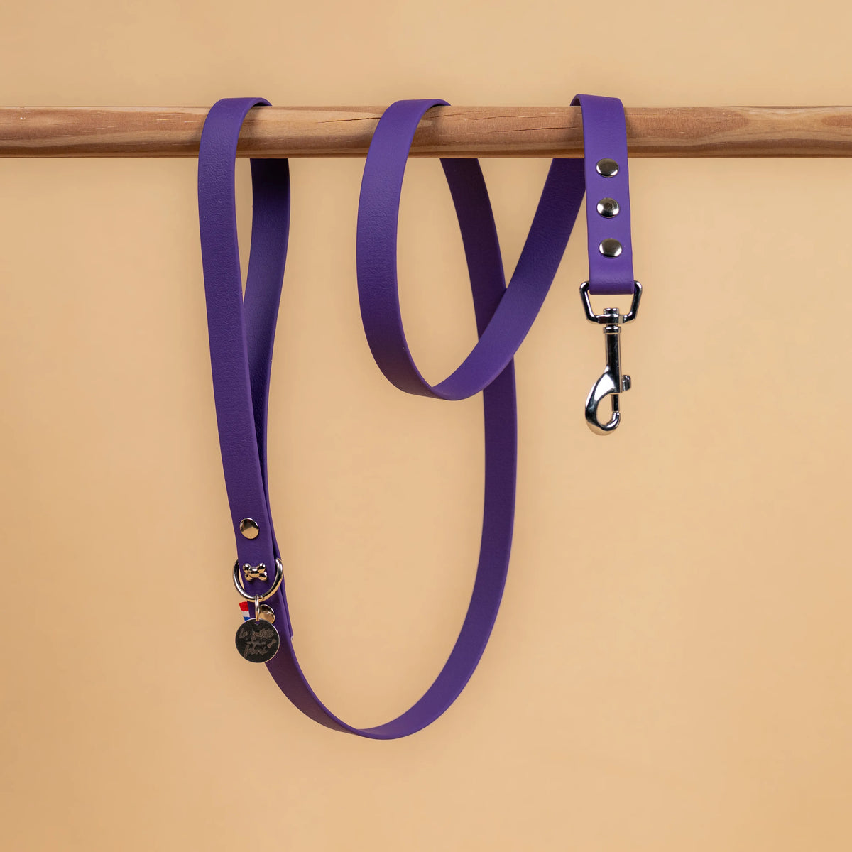 laisse simple pour chien en sangle enduite étanche matière similaire au biothane couleur violet pourpre