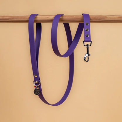 laisse simple pour chien en sangle enduite étanche matière similaire au biothane couleur violet pourpre