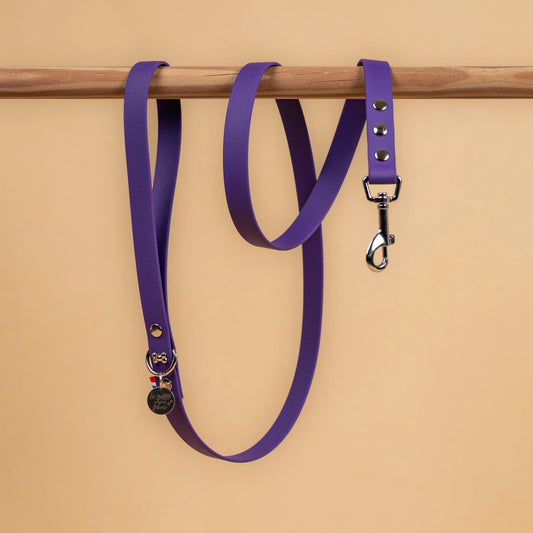 laisse simple pour chien en sangle enduite étanche matière similaire au biothane couleur violet pourpre
