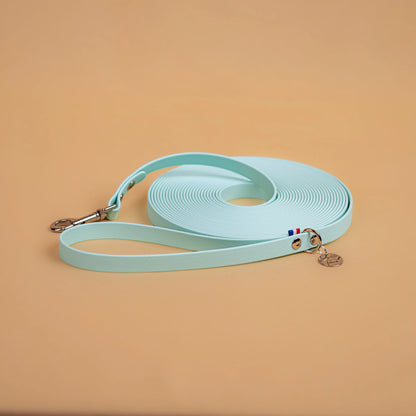 longe pour chien résistante en sangle enduite matière similaire au biothane avec bouclerie en acier inoxydable couleur bleu pastel