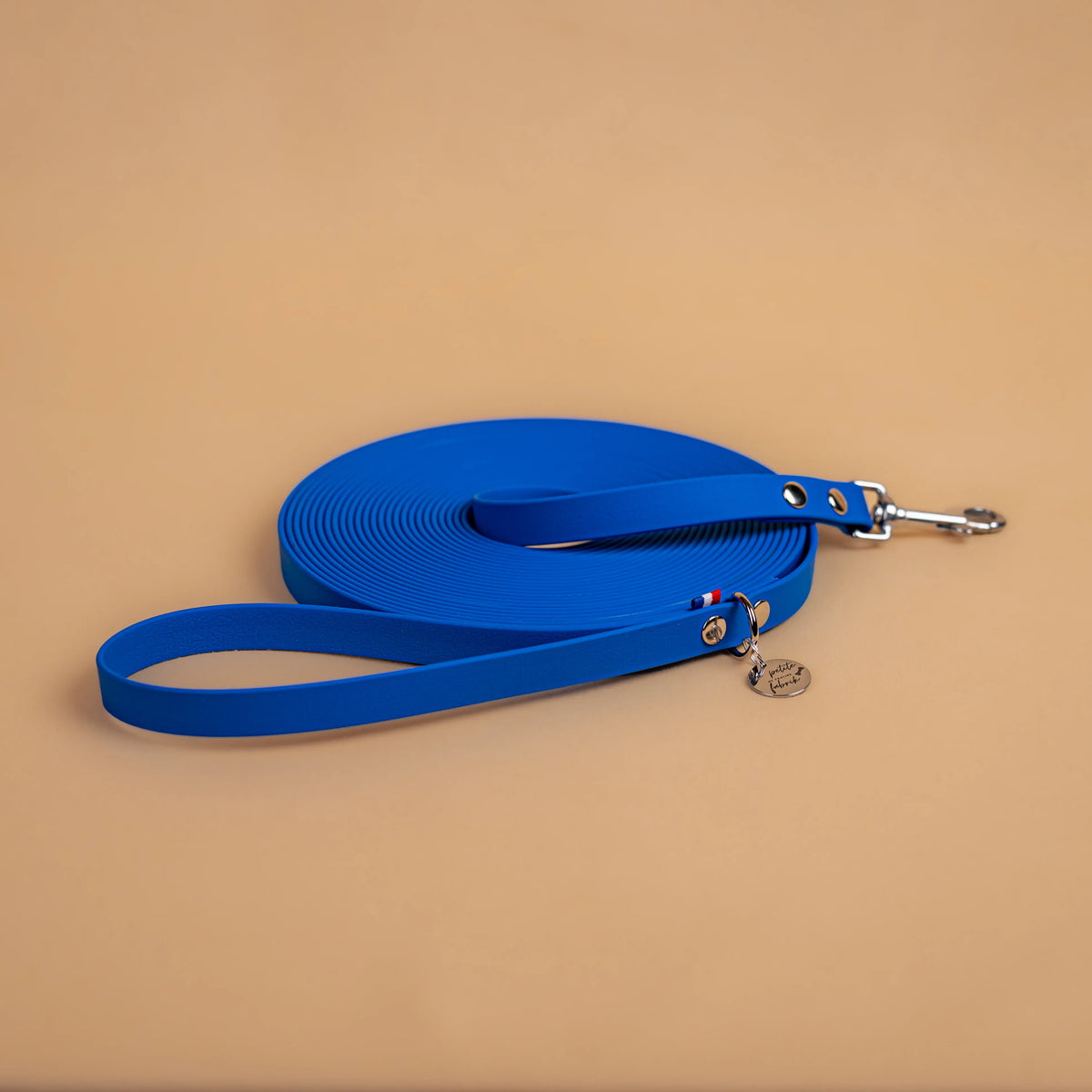 longe pour chien résistante en sangle enduite matière similaire au biothane avec bouclerie en acier inoxydable couleur bleu