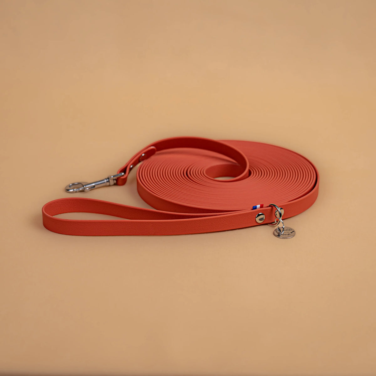 longe pour chien résistante en sangle enduite matière similaire au biothane avec bouclerie en acier inoxydable couleur orange terracotta
