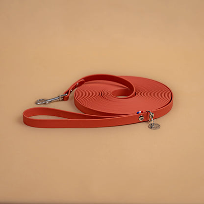 longe pour chien résistante en sangle enduite matière similaire au biothane avec bouclerie en acier inoxydable couleur orange terracotta