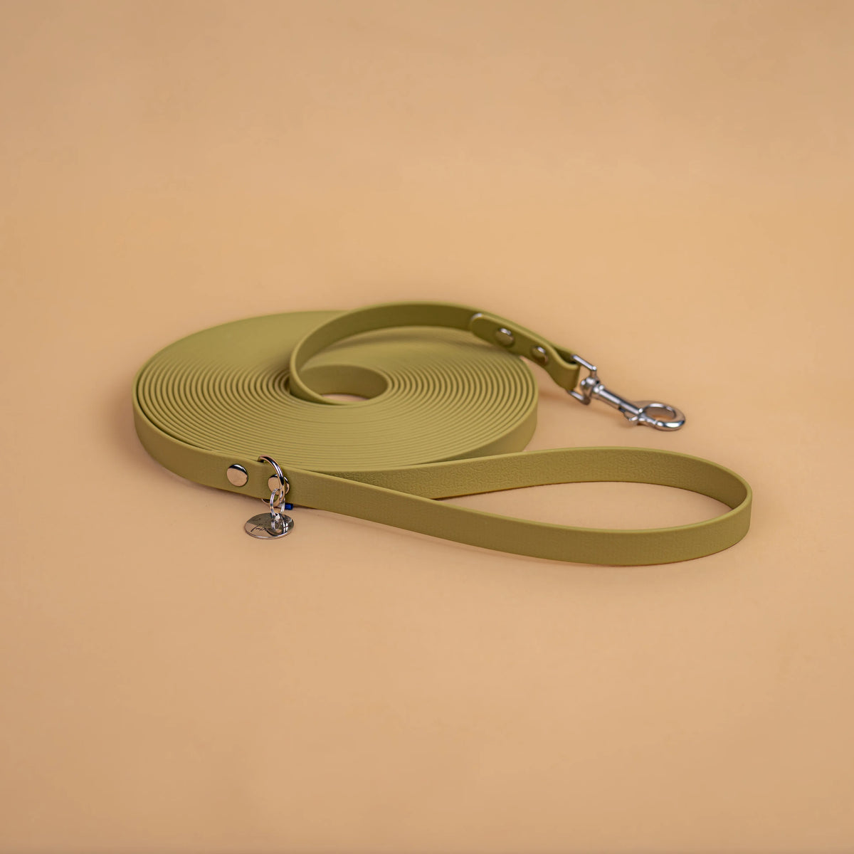 longe pour chien résistante en sangle enduite matière similaire au biothane avec bouclerie en acier inoxydable couleur vert kaki clair