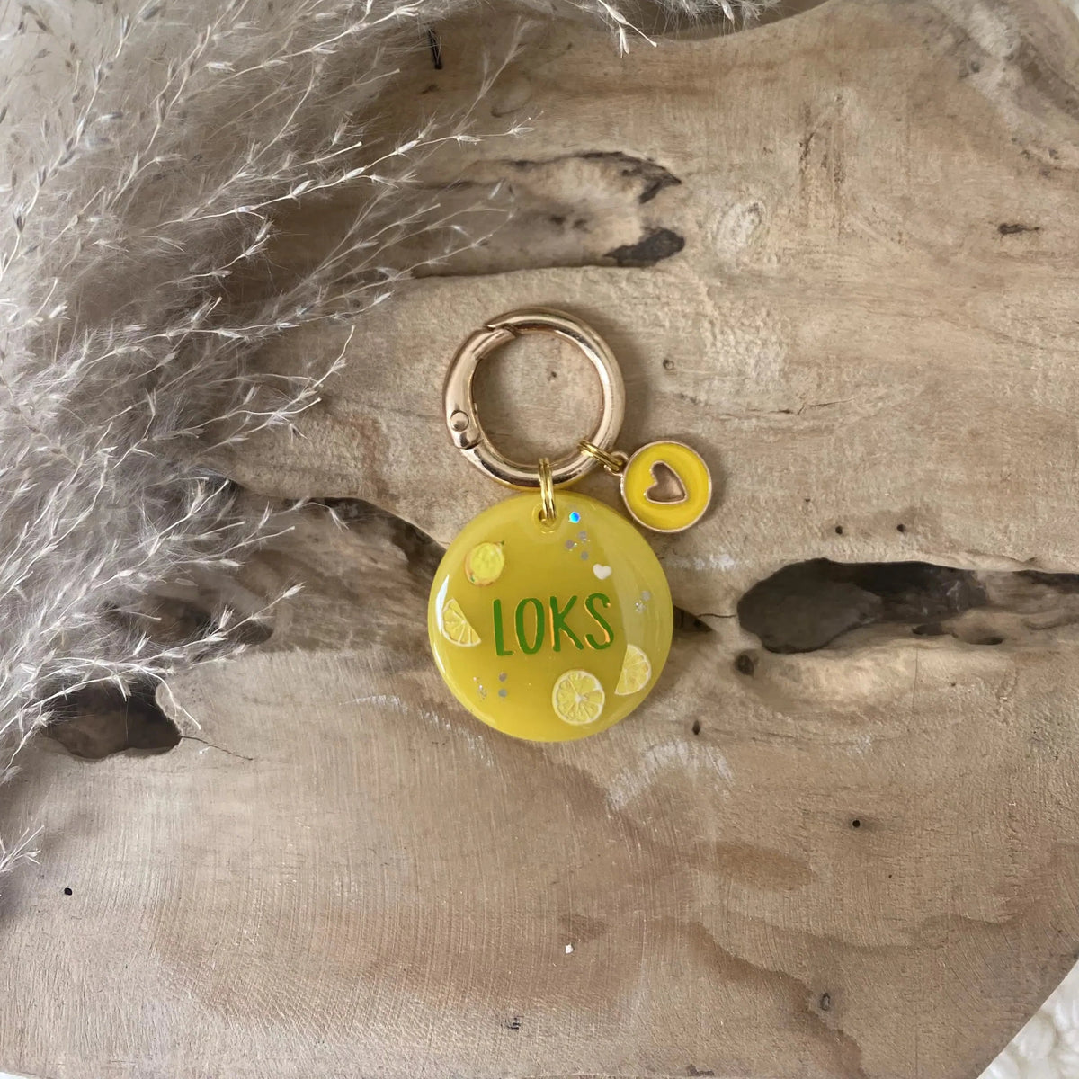 Medaille Lemon pour chien en resine en dimension petit Rond de 3cm